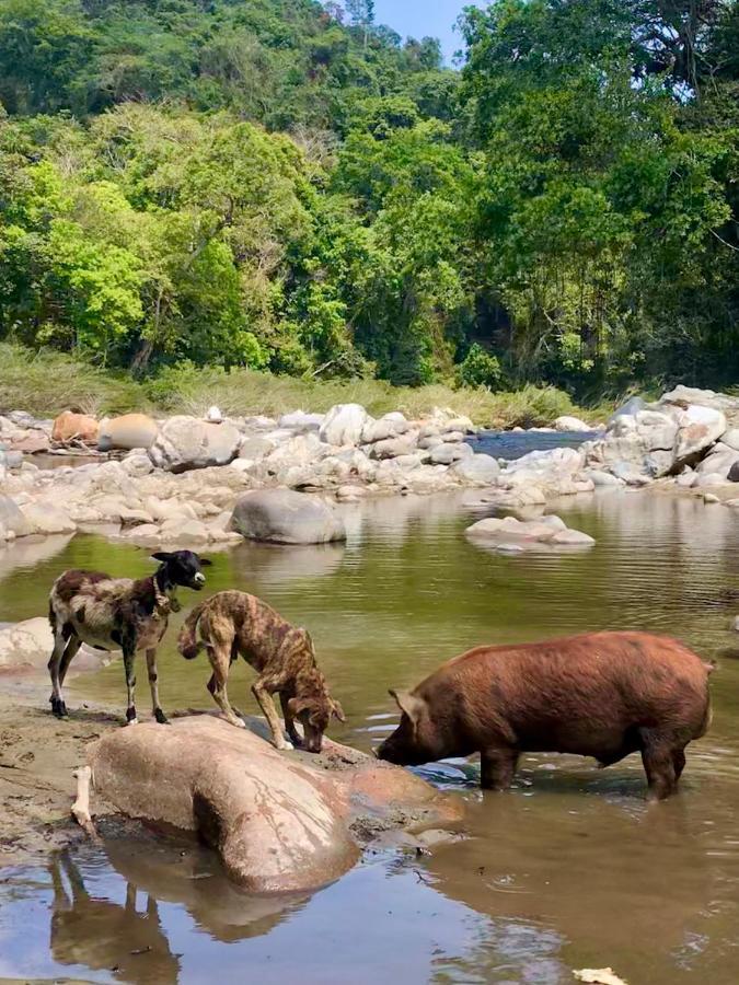 La Ponderosa Reserve บูรีตากา ภายนอก รูปภาพ
