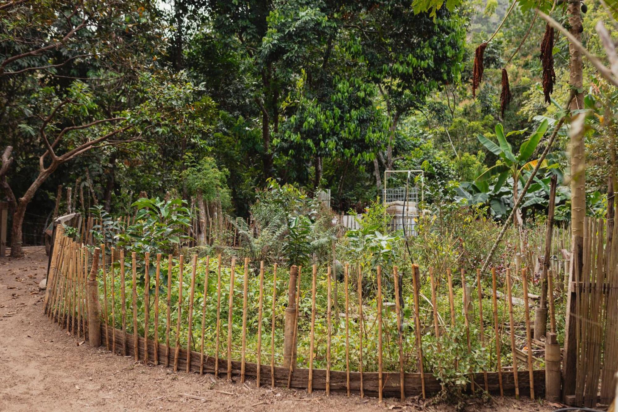 La Ponderosa Reserve บูรีตากา ภายนอก รูปภาพ