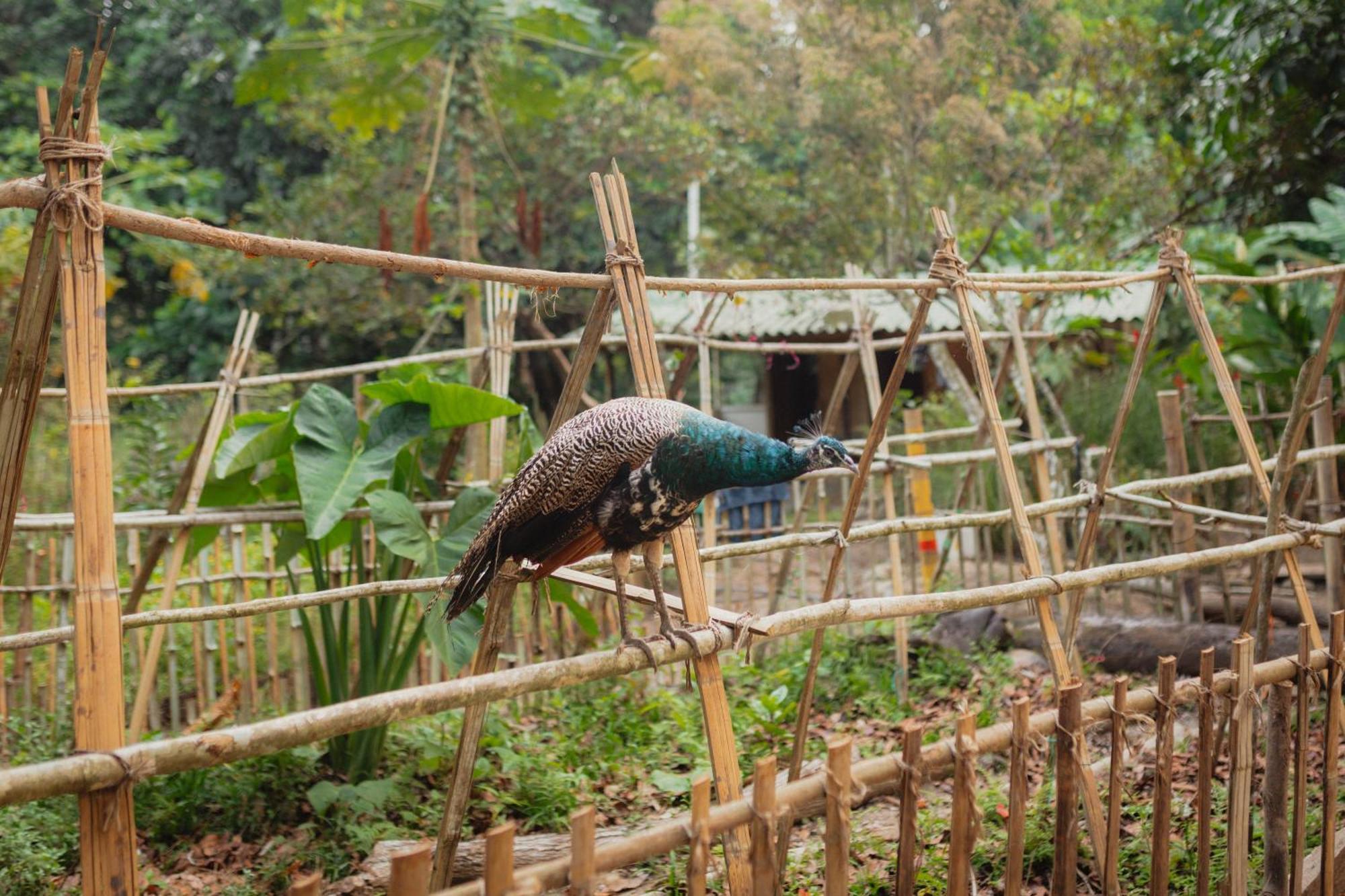 La Ponderosa Reserve บูรีตากา ภายนอก รูปภาพ